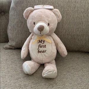 Teddy Bear Stuffed Animal